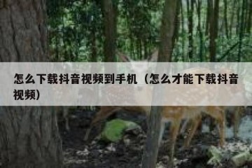 怎么下载抖音视频到手机（怎么才能下载抖音视频）