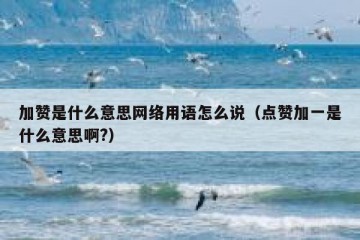 加赞是什么意思网络用语怎么说（点赞加一是什么意思啊?）
