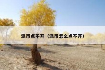 派币点不开（派币怎么点不开）