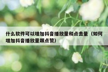 什么软件可以增加抖音播放量和点击量（如何增加抖音播放量跟点赞）