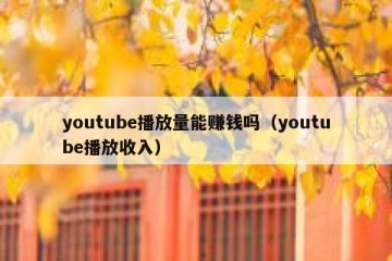 youtube播放量能赚钱吗（youtube播放收入）