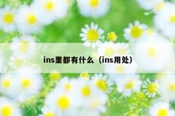 ins里都有什么（ins用处）