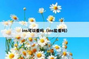 ins可以看吗（ins能看吗）