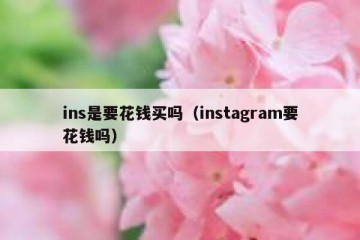 ins是要花钱买吗（instagram要花钱吗）