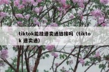 tiktok能挂速卖通链接吗（tiktok 速卖通）
