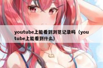 youtube上能看到浏览记录吗（youtube上能看到什么）