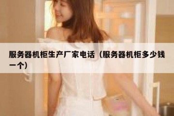 服务器机柜生产厂家电话（服务器机柜多少钱一个）