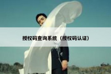 授权码查询系统（授权码认证）