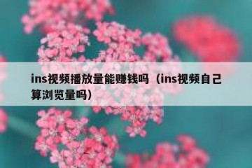 ins视频播放量能赚钱吗（ins视频自己算浏览量吗）