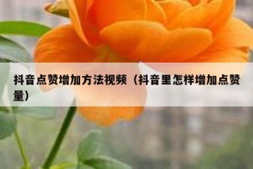 抖音点赞增加方法视频（抖音里怎样增加点赞量）