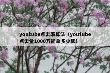 youtube点击率算法（youtube点击量1000万能拿多少钱）