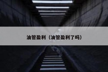 油管盈利（油管盈利了吗）