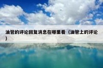 油管的评论回复消息在哪里看（油管上的评论）