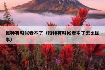 推特有时候看不了（推特有时候看不了怎么回事）