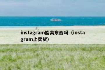 instagram能卖东西吗（instagram上卖货）