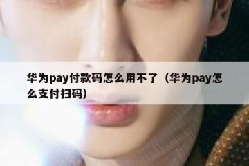 华为pay付款码怎么用不了（华为pay怎么支付扫码）