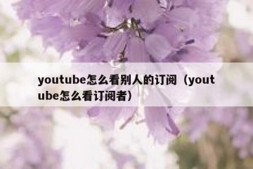 youtube怎么看别人的订阅（youtube怎么看订阅者）