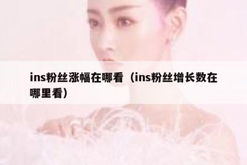 ins粉丝涨幅在哪看（ins粉丝增长数在哪里看）