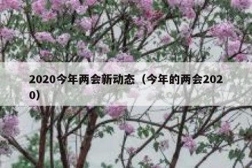 2020今年两会新动态（今年的两会2020）