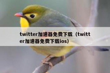twitter加速器免费下载（twitter加速器免费下载ios）