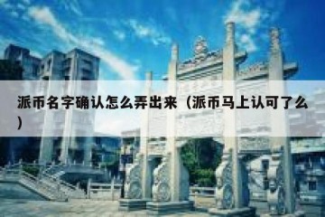 派币名字确认怎么弄出来（派币马上认可了么）