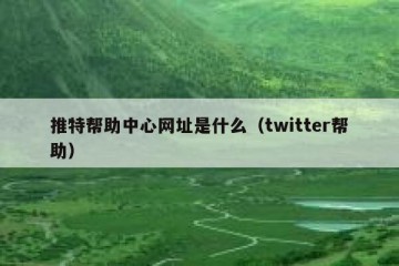 推特帮助中心网址是什么（twitter帮助）