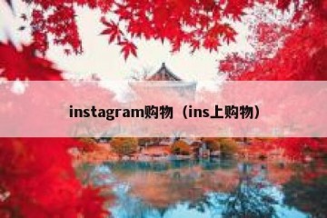 instagram购物（ins上购物）