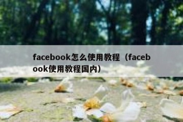 facebook怎么使用教程（facebook使用教程国内）
