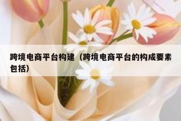 跨境电商平台构建（跨境电商平台的构成要素包括）