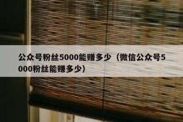 公众号粉丝5000能赚多少（微信公众号5000粉丝能赚多少）