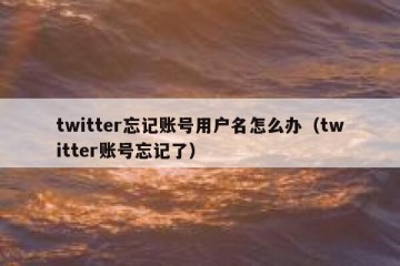 twitter忘记账号用户名怎么办（twitter账号忘记了）