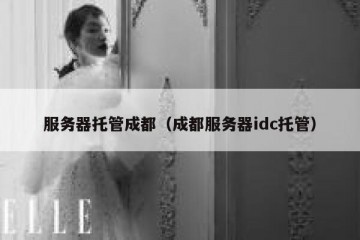 服务器托管成都（成都服务器idc托管）