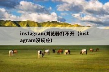 instagram浏览器打不开（instagram没反应）