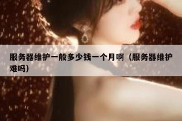 服务器维护一般多少钱一个月啊（服务器维护难吗）
