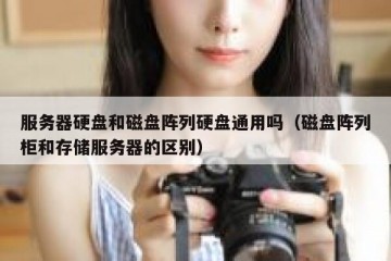 服务器硬盘和磁盘阵列硬盘通用吗（磁盘阵列柜和存储服务器的区别）