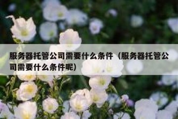 服务器托管公司需要什么条件（服务器托管公司需要什么条件呢）