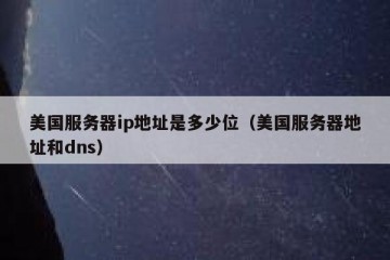 美国服务器ip地址是多少位（美国服务器地址和dns）