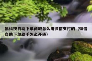 黑科技自助下单商城怎么用微信支付的（微信自助下单助手怎么开通）