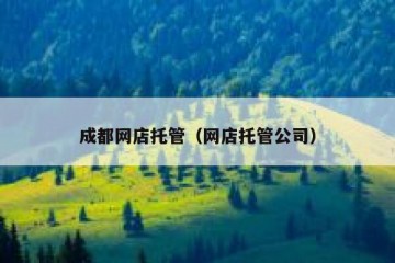 成都网店托管（网店托管公司）