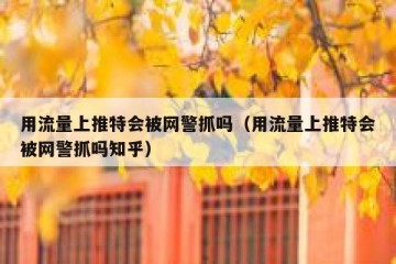 用流量上推特会被网警抓吗（用流量上推特会被网警抓吗知乎）