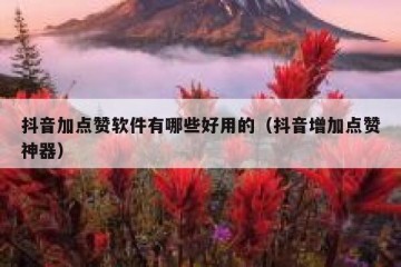 抖音加点赞软件有哪些好用的（抖音增加点赞神器）