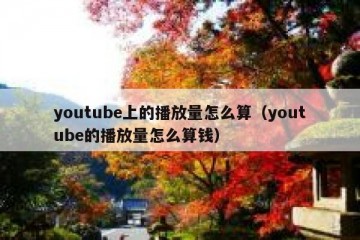 youtube上的播放量怎么算（youtube的播放量怎么算钱）