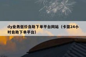 dy业务低价自助下单平台网站（卡盟24小时自助下单平台）