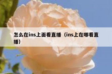 怎么在ins上面看直播（ins上在哪看直播）