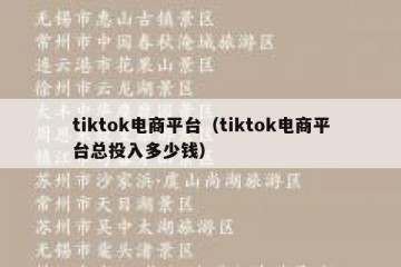 tiktok电商平台（tiktok电商平台总投入多少钱）