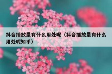 抖音播放量有什么用处呢（抖音播放量有什么用处呢知乎）