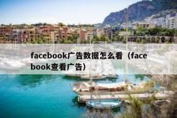 facebook广告数据怎么看（facebook查看广告）