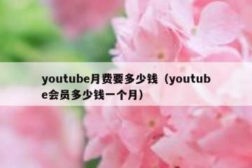 youtube月费要多少钱（youtube会员多少钱一个月）