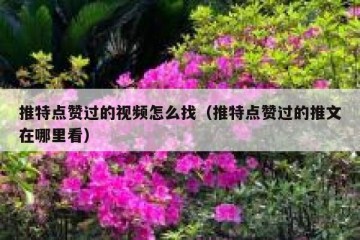推特点赞过的视频怎么找（推特点赞过的推文在哪里看）