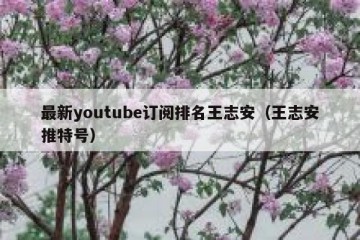 最新youtube订阅排名王志安（王志安推特号）